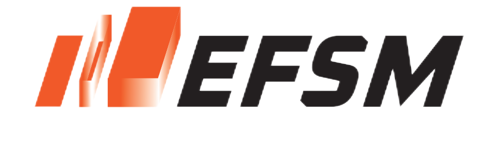 EFSM AUTO PARTS ( JIA XNG) CO.,LTD  IATF16949 Cetified CHINA